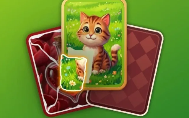 Puzzle Solitaire Picture Match