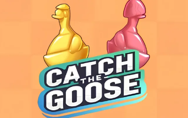 Catch The Goose