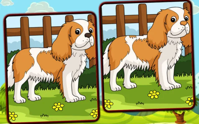 Dogs Spot The Differences