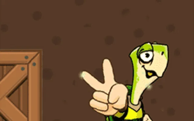 Turtle Hero Run